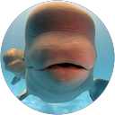 J Sem profile picture